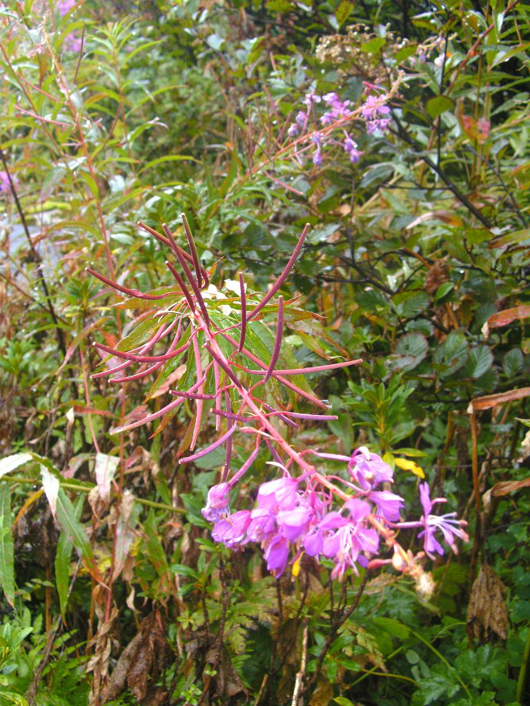 Marie T_045.JPG - Marie T_045